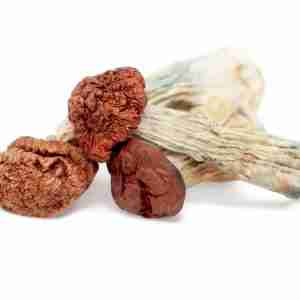 Blue Meanie Magic Mushrooms For Sale