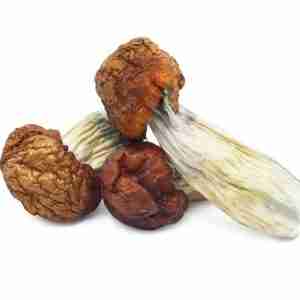 Buy Blue Pulaski Magic Mushrooms Online