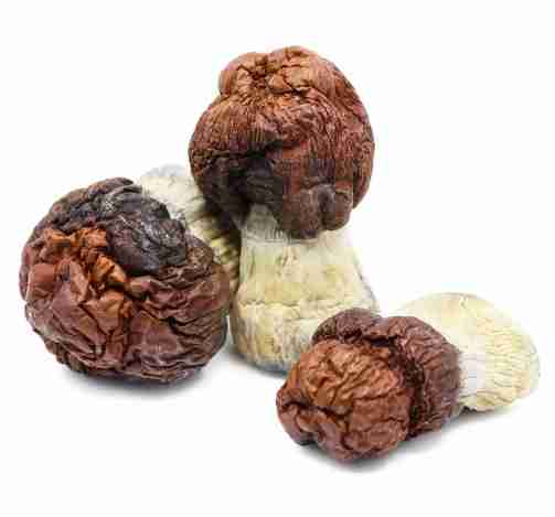 Buy Bluey Vuitton Magic Mushrooms Online