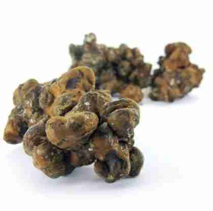 Buy Pandora Mushroom Magic Truffles