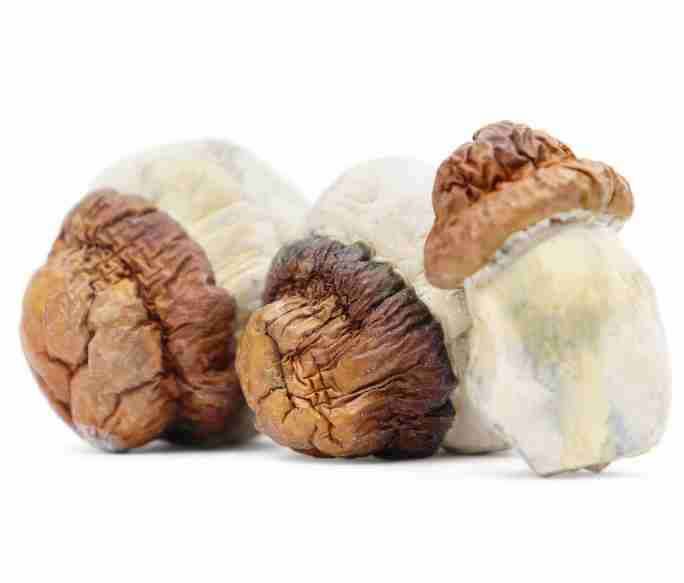 Code Blue Magic Potent Mushrooms