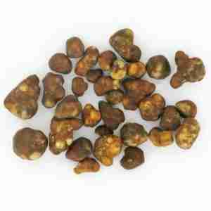 Fantasia Magic Truffles For Sale