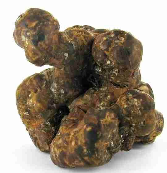 Premium Utopia Magic Truffle For Sale